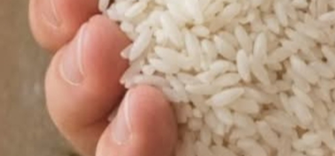 Screenshot 20260114 231307 Brave