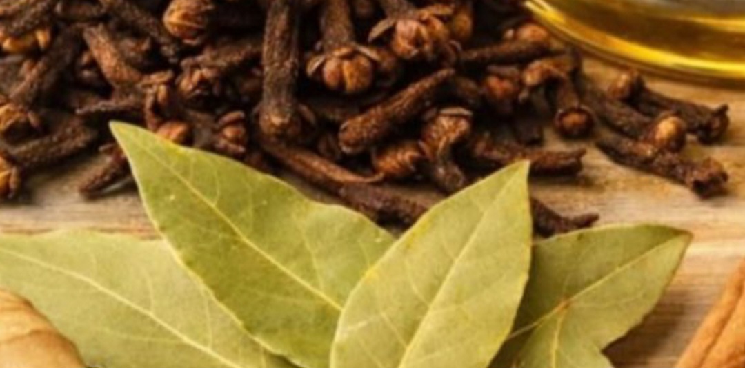 Screenshot 20260114 232655 Brave