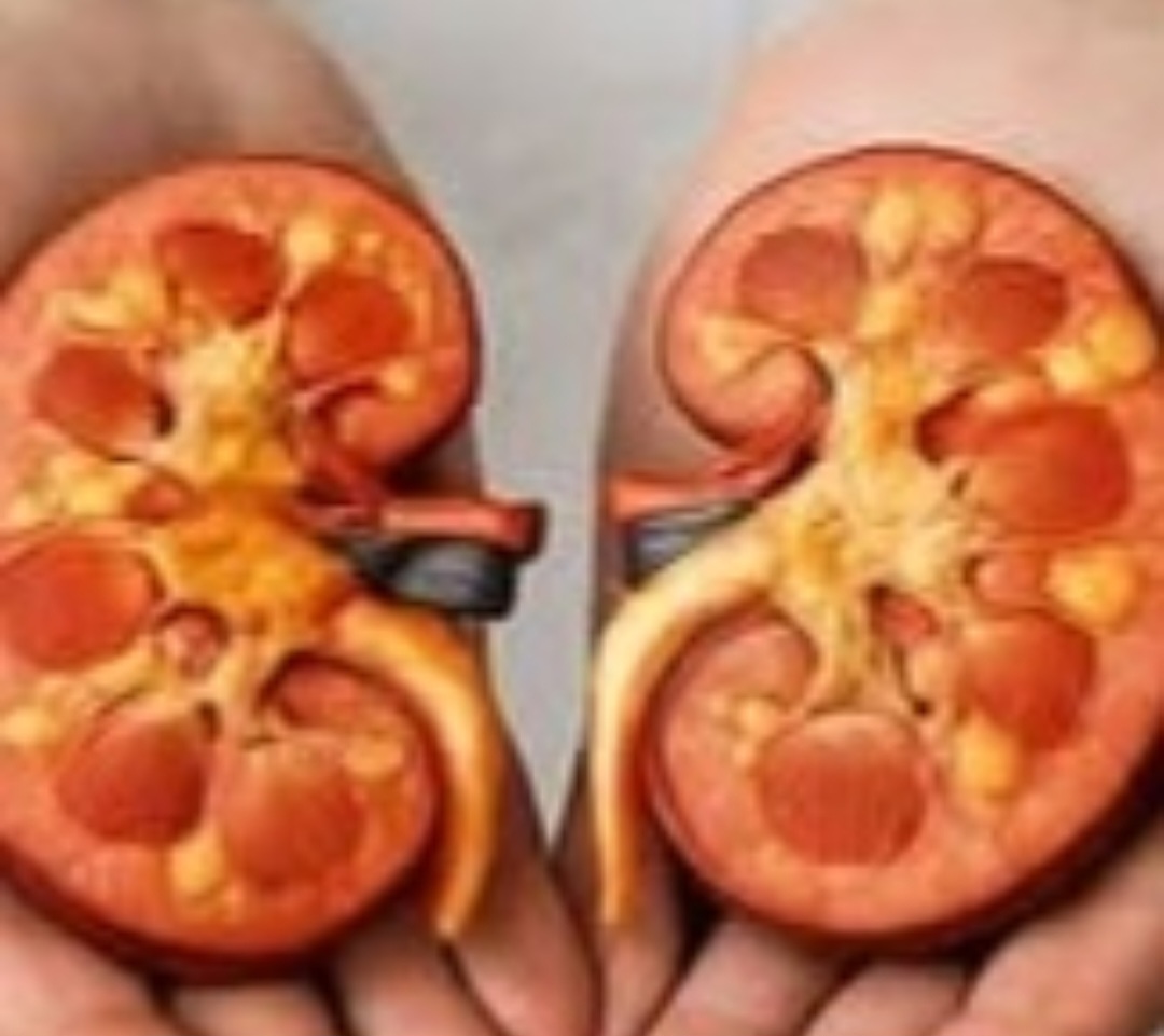 Screenshot 20260121 214103 Brave