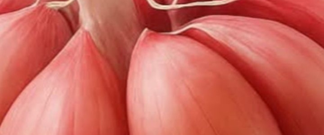 Screenshot 20260122 220944 Brave