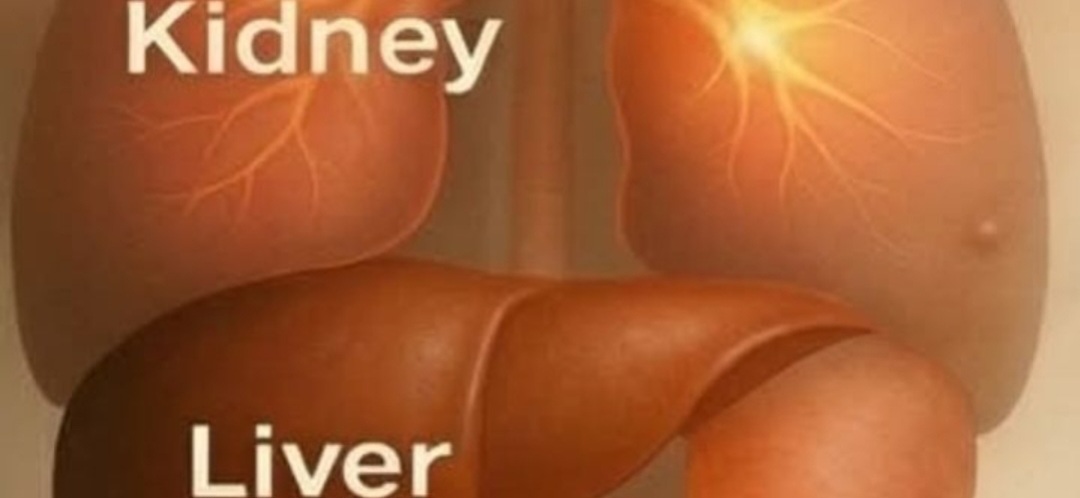 Screenshot 20260204 011624 Brave