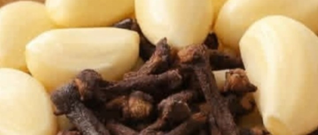 Screenshot 20260219 020924 Brave