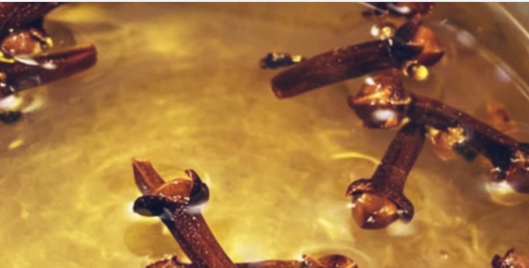 Screenshot 20260222 192549 Brave