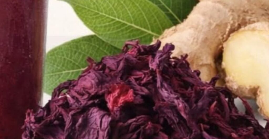 Screenshot_20260223_221913_Brave Screenshot 20260223 221913 Brave