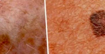 Screenshot 20260303 223124 Brave 363x188