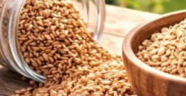 Screenshot 20260309 215407 Brave 363x188